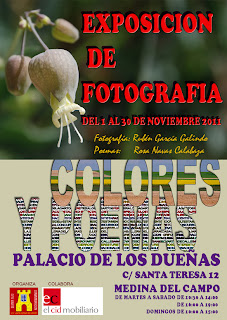 EXPOSICIÓN DE FOTOGRAFÍA EN EL PALACIO DE LOS DUEÑAS